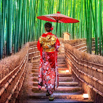 Popular destinations and universities for students to study abroad